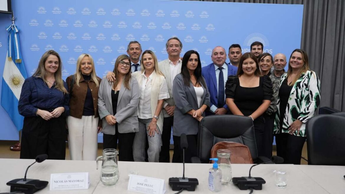 Diputados de La Libertad Avanza.