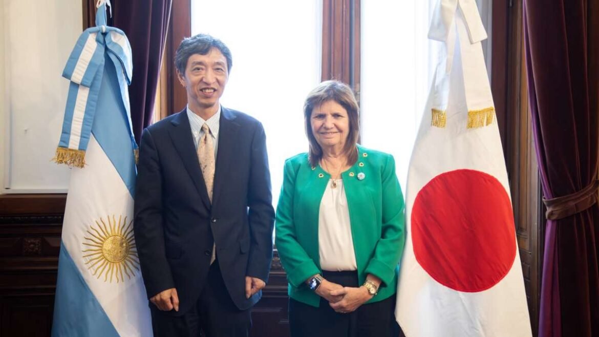 Bullrich se refirió a las inversiones japonesas en Argentina.