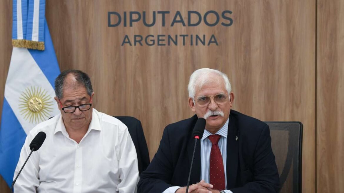 La Libertad Avanza: Zapata será el presidente de Defensa Nacional.