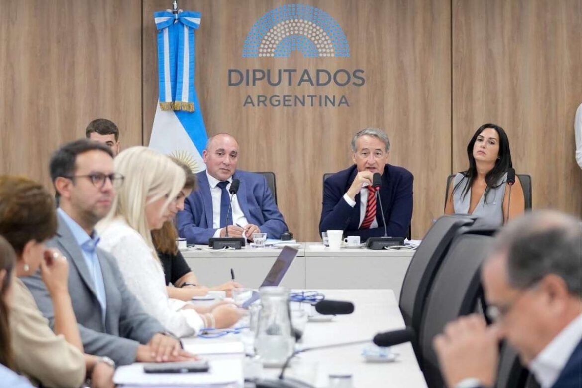 glaciares-mayoraz-audiencia-publica-diputados-argentina