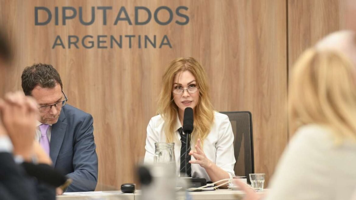 Lilia Lemoine, presidente de la Comisión de Juicio Político.