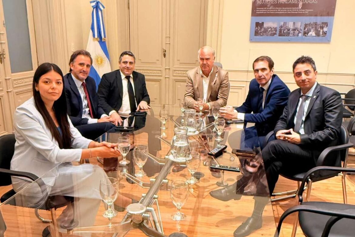 pablo-cervi-energia-neuquen-senador-nacional-argentina