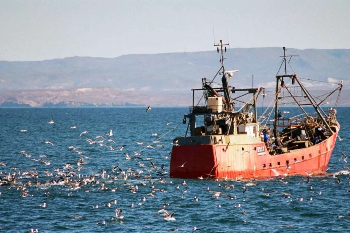 pesca-calamar-economía-argentina-record-milei