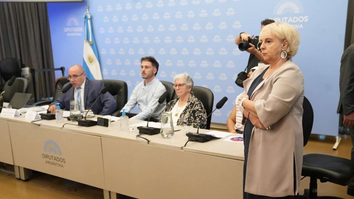 La diputada nacional en la Audiencia Pública por la Ley de Glaciares.