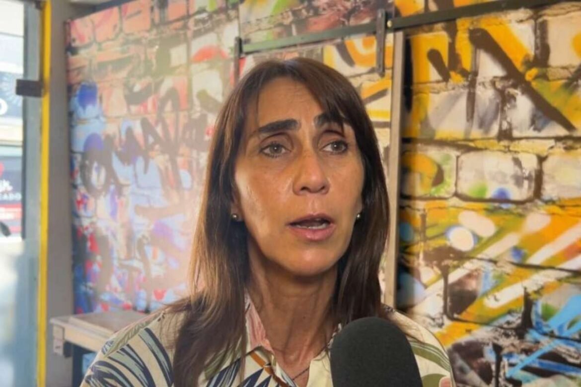 soledad-molinuevo-tucuman-pelli-agresion-la-libertad-avanza-diputados