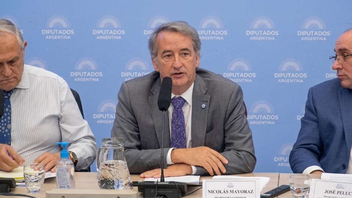 Diputados: la transmisión en vivo de la Audiencia Pública por la Ley de Glaciares.