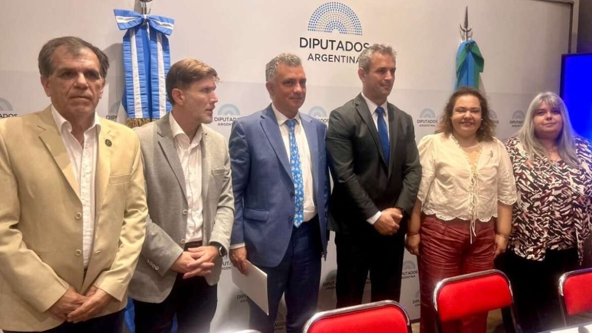 Pareja, Menem y Niveyro en Diputados.