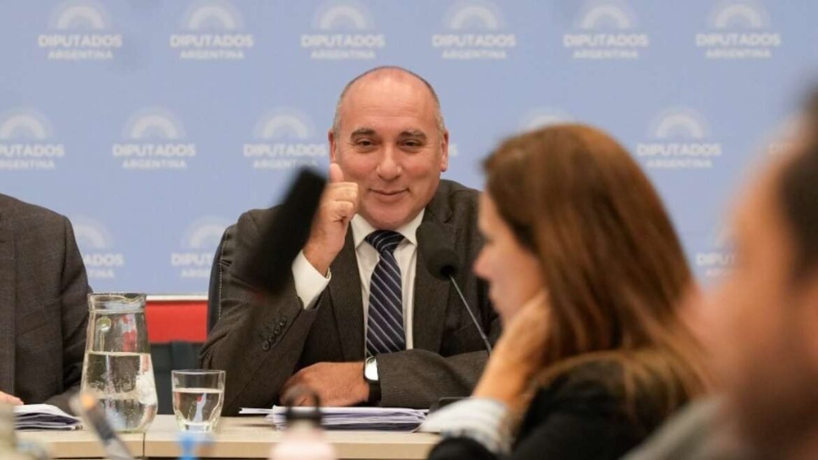 José Peluc, diputado nacional.