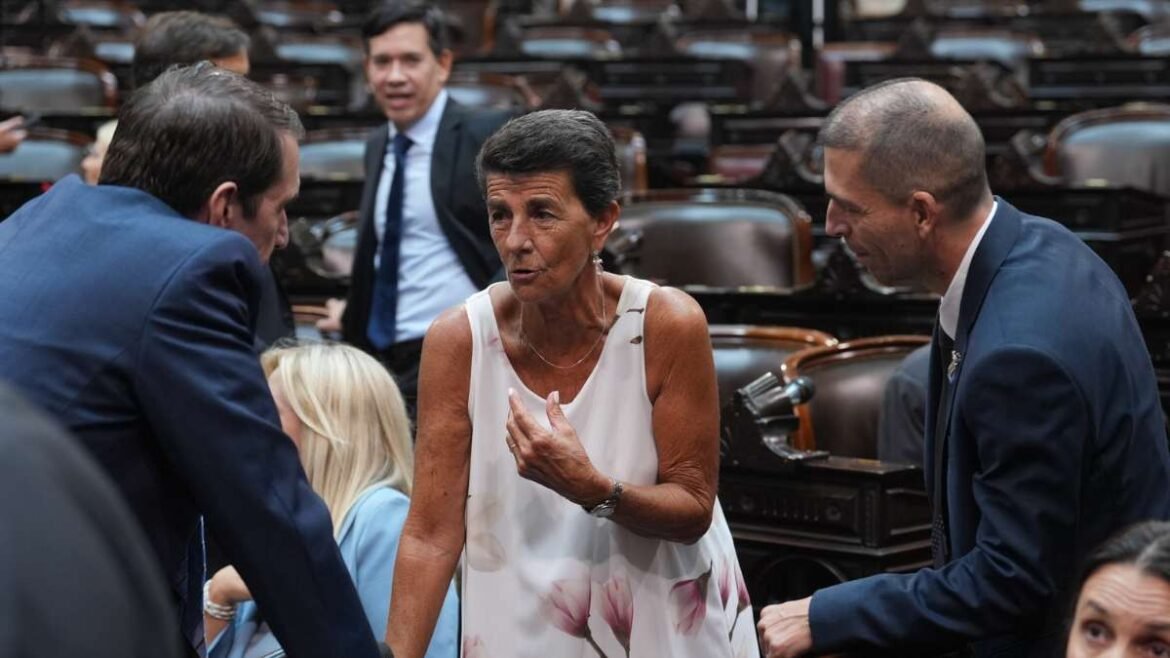 Patricia Vázquez, diputada nacional de La Libertad Avanza.