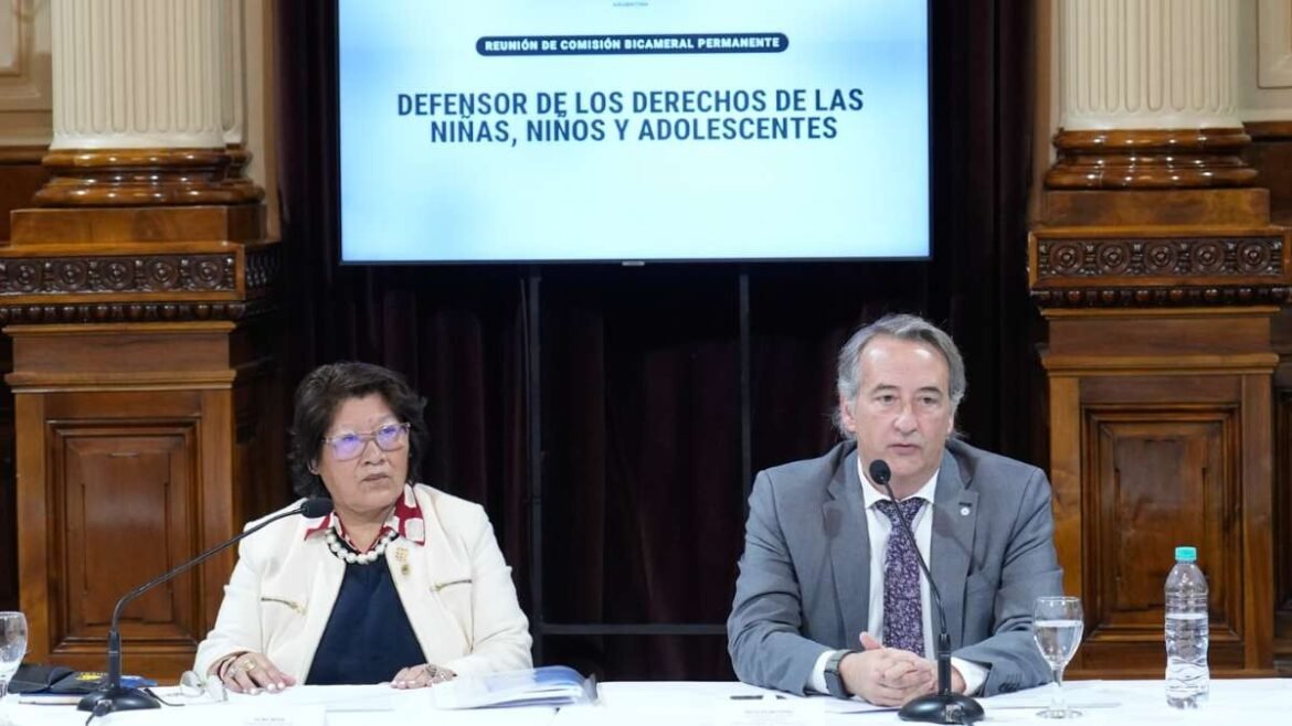 Vilma Bedia y Nicolás Mayoraz, a cargo de la Bicameral.