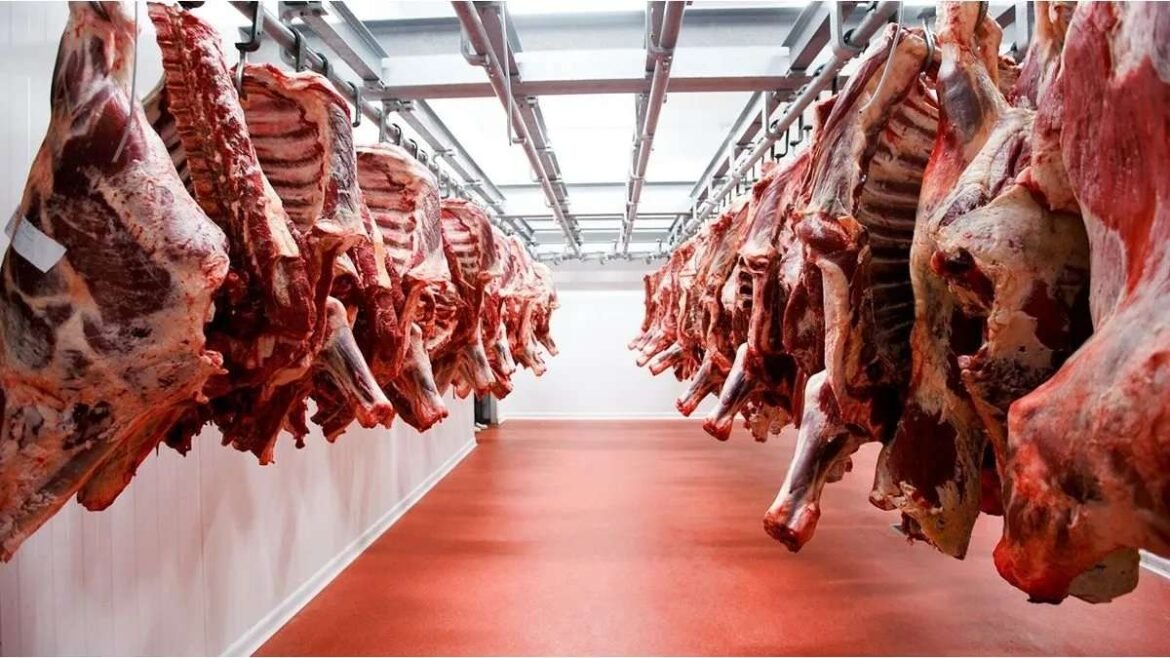 La carne bovina en Argentina.