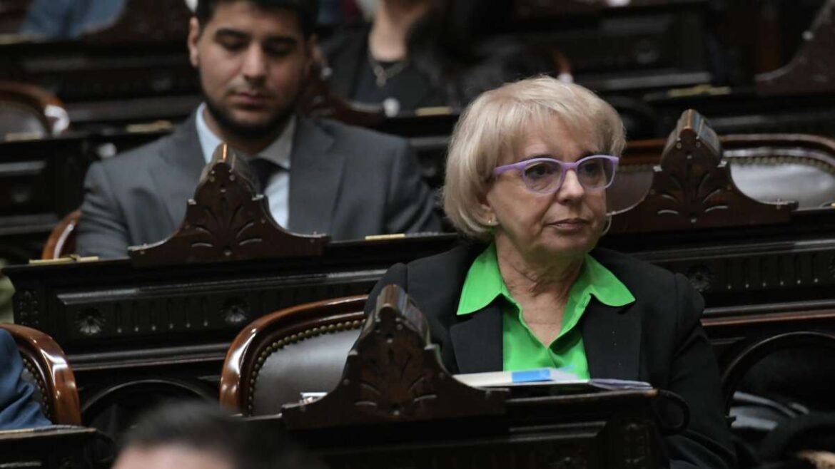 Silvana Giudici, diputada nacional.