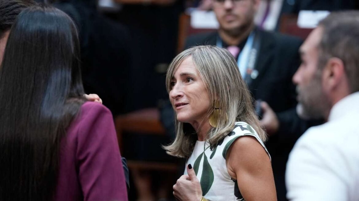 Mercedes Llano, diputada nacional de La Libertad Avanza.