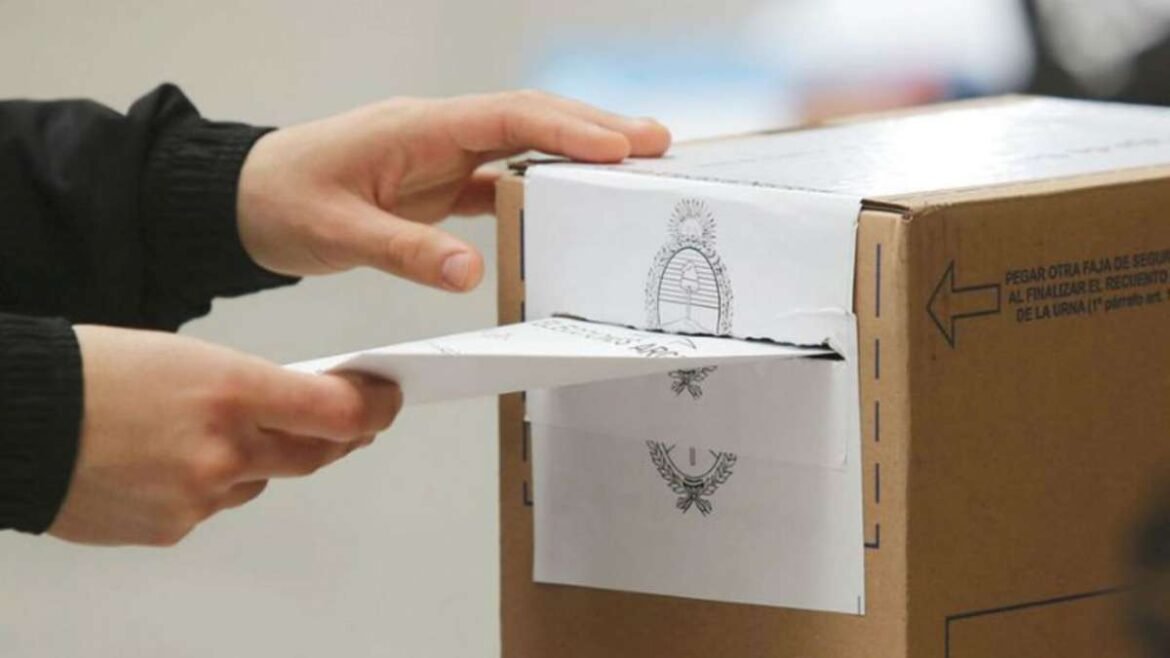 Las PASO, un problema a erradicar de la política argentina.