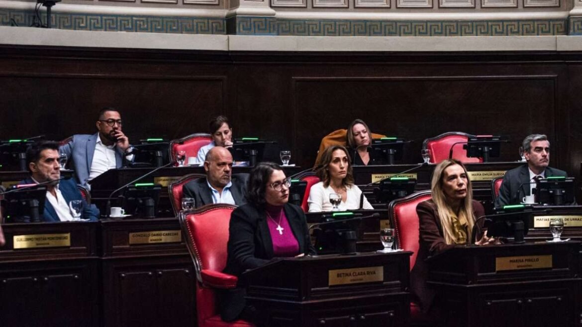 El Senado bonaerense empieza a teñirse más de violeta.