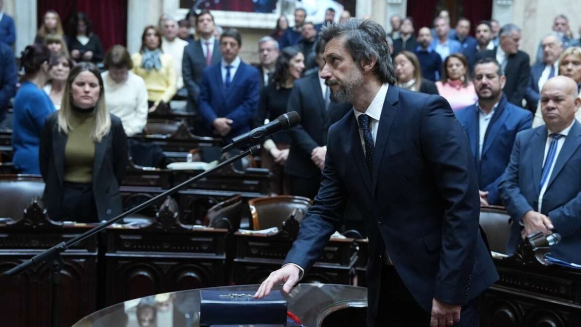 Matzkin jurando hoy en Diputados.